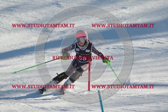 MAT_3865.JPG
