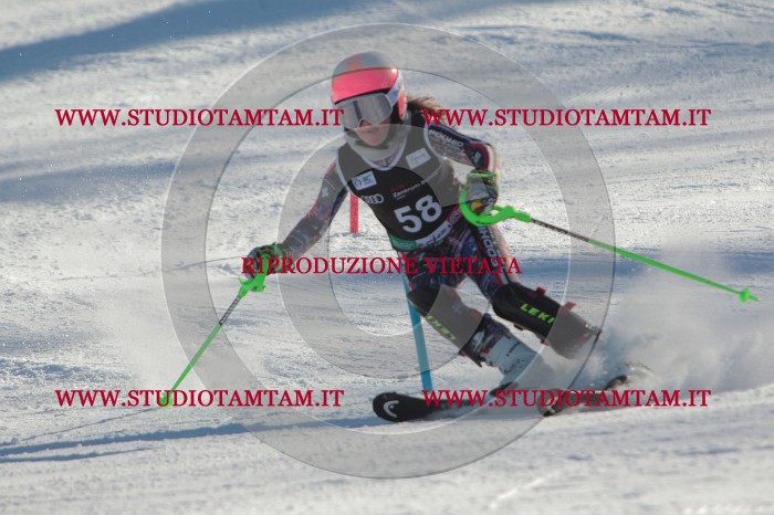 MAT_3868.JPG
