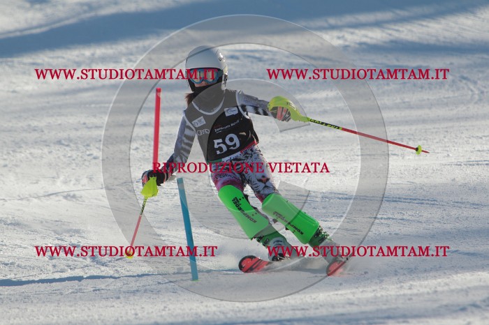 MAT_3881.JPG