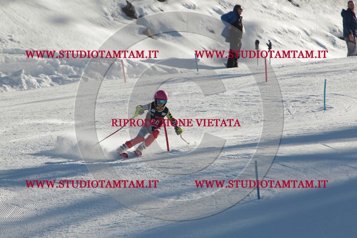 MAT_3886.JPG