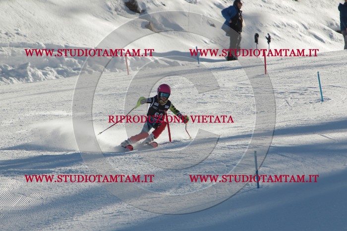 MAT_3887.JPG