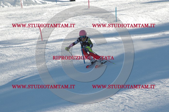 MAT_3888.JPG