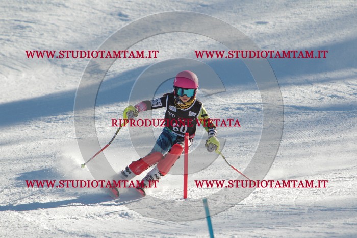 MAT_3892.JPG