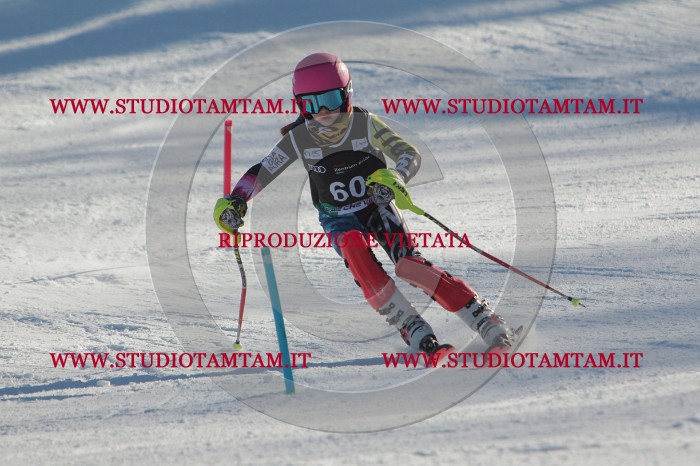 MAT_3894.JPG