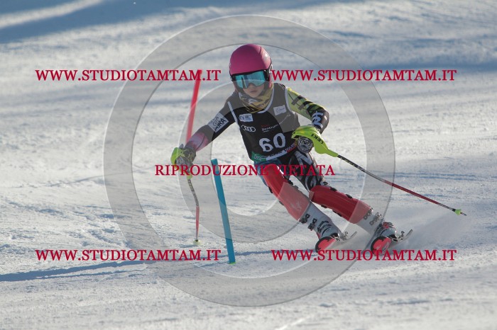 MAT_3895.JPG