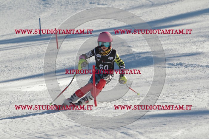 MAT_3896.JPG