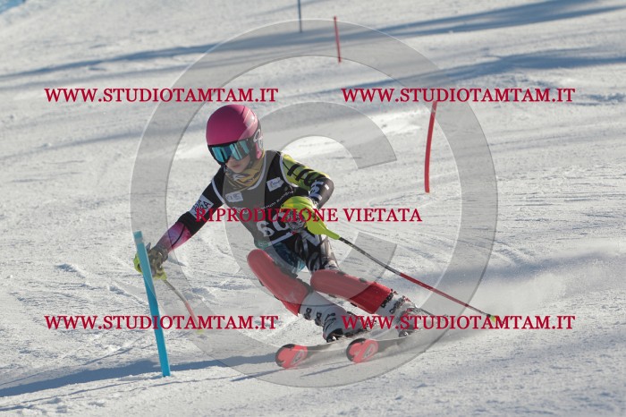 MAT_3898.JPG
