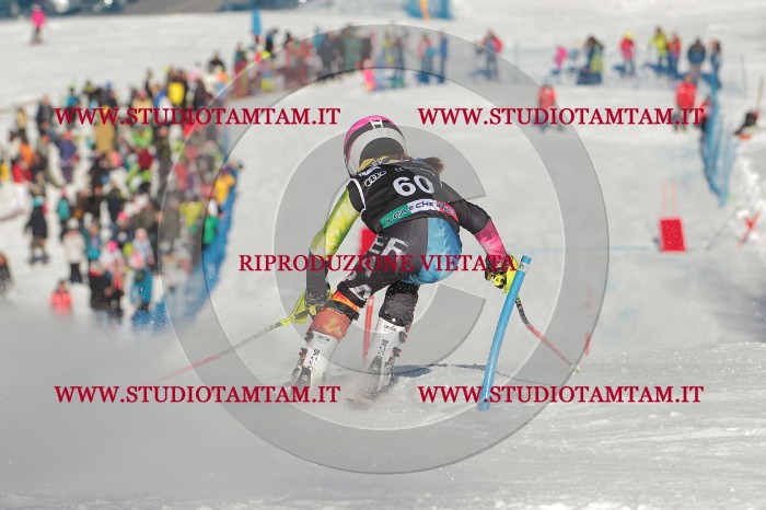 MAT_3900.JPG