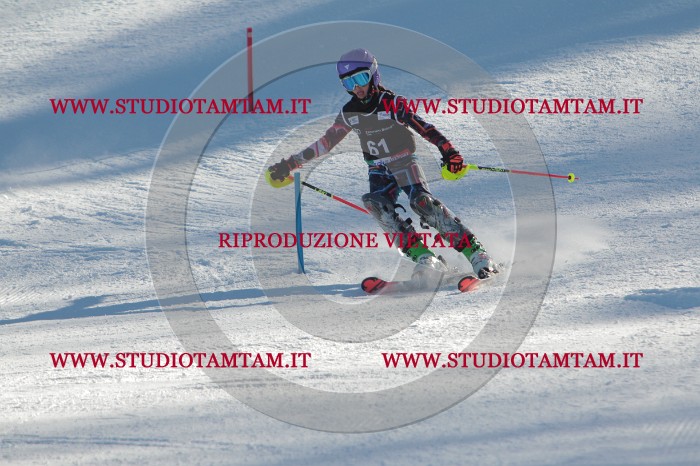 MAT_3904.JPG