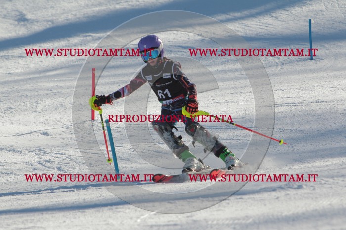 MAT_3908.JPG