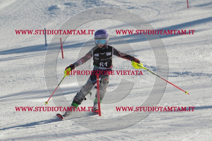 MAT_3909.JPG
