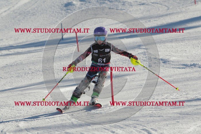 MAT_3910.JPG