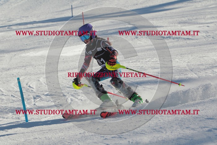 MAT_3911.JPG