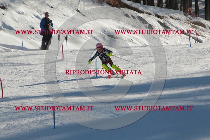 MAT_3916.JPG