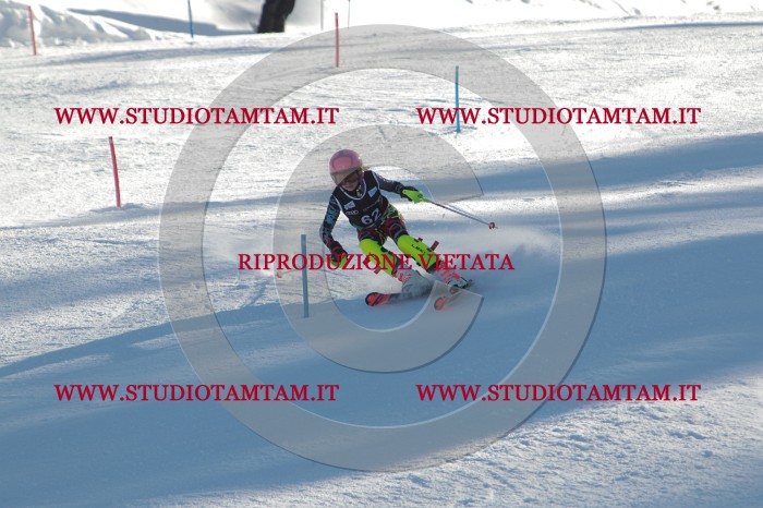 MAT_3918.JPG