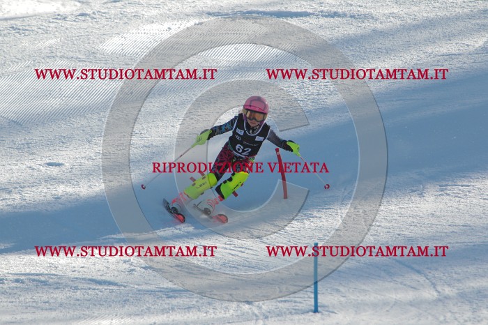 MAT_3919.JPG