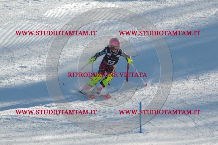 MAT_3920.JPG