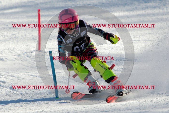 MAT_3925.jpg