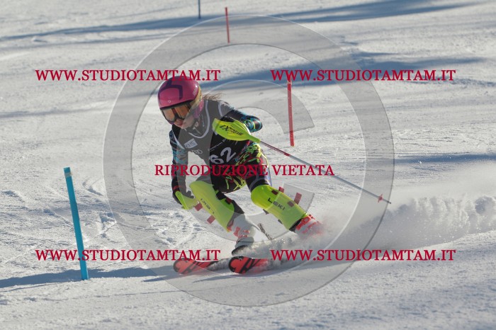 MAT_3927.JPG