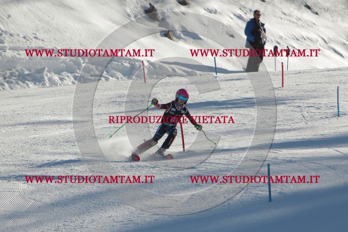 MAT_3930.JPG