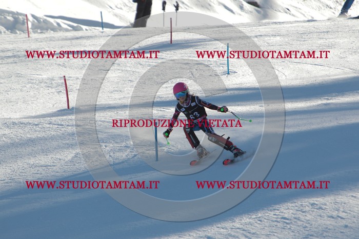 MAT_3931.JPG
