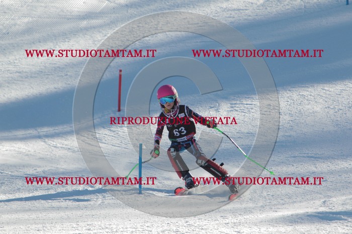 MAT_3933.JPG