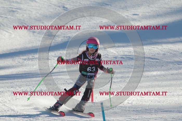 MAT_3935.JPG