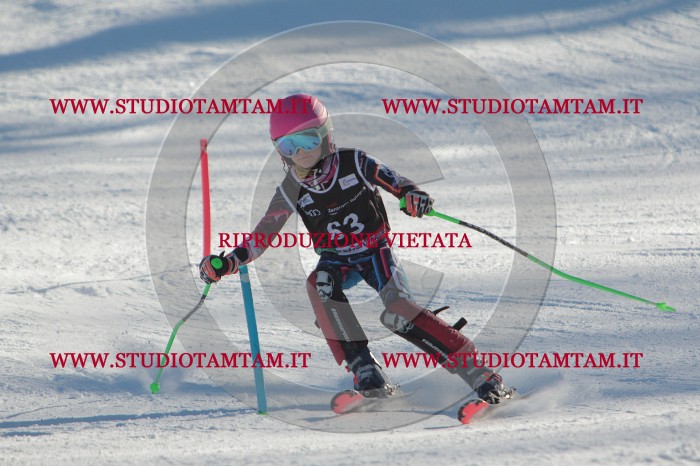 MAT_3936.JPG