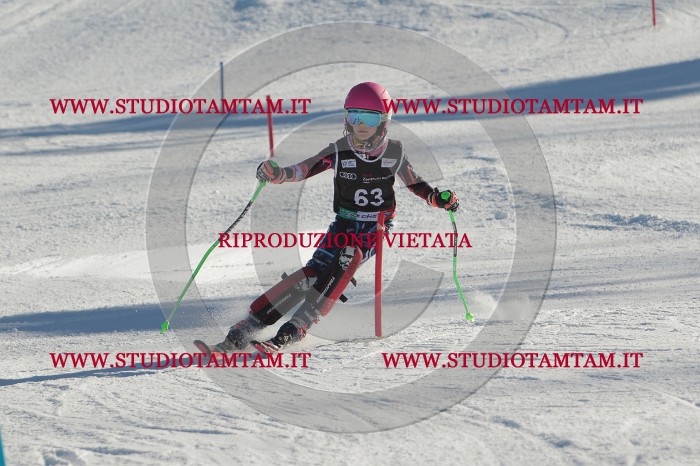 MAT_3938.JPG