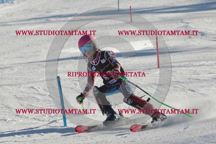 MAT_3940.JPG
