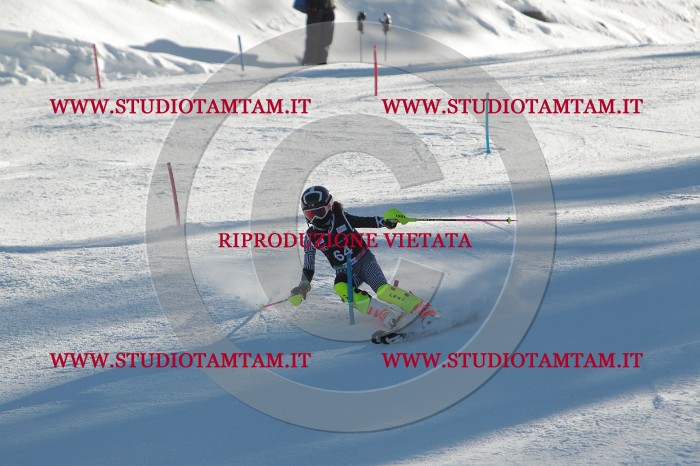 MAT_3945.JPG