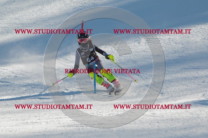MAT_3948.JPG