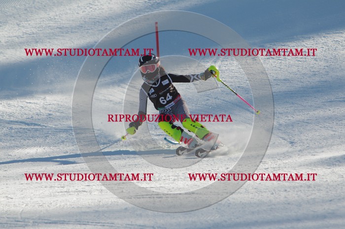 MAT_3949.JPG