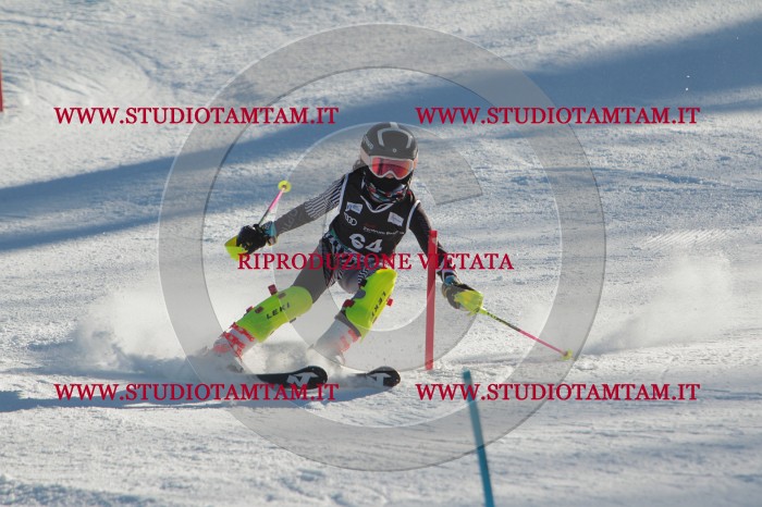 MAT_3950.JPG