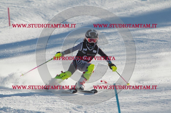 MAT_3951.JPG