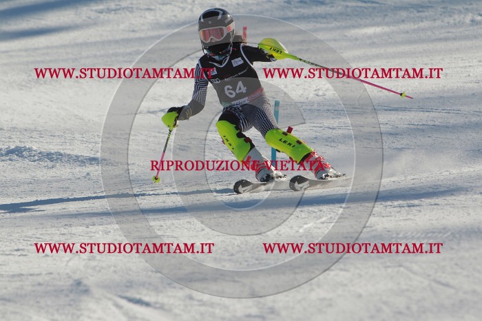 MAT_3953.JPG