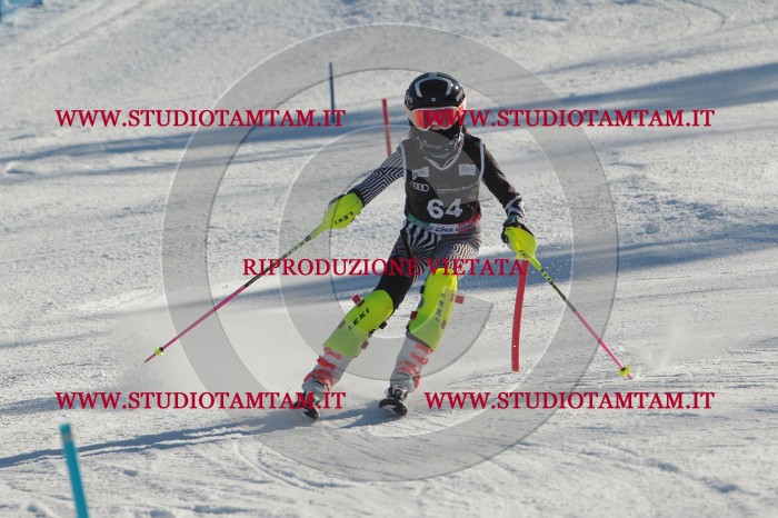 MAT_3955.JPG