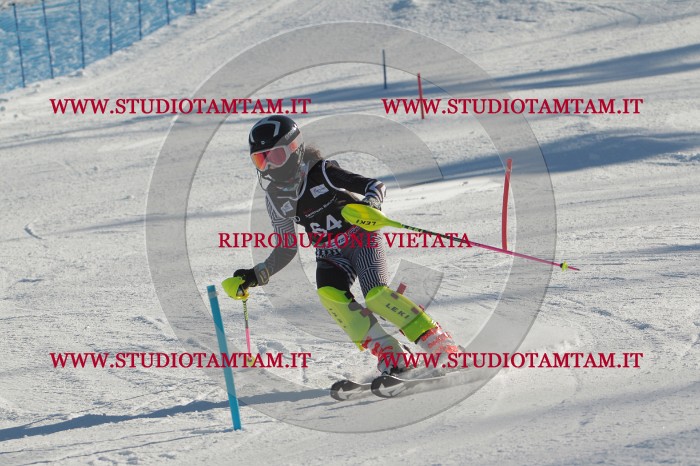 MAT_3956.JPG