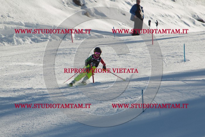 MAT_3961.JPG