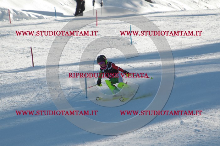 MAT_3962.JPG