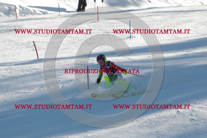 MAT_3963.JPG
