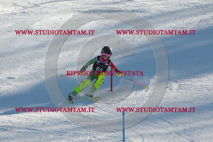 MAT_3964.JPG