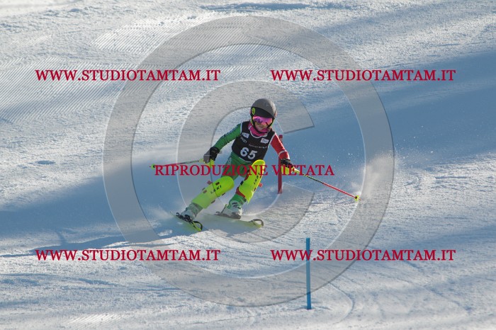 MAT_3965.JPG