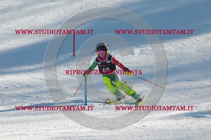 MAT_3967.JPG
