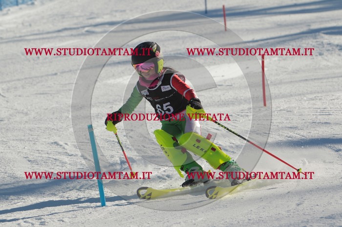 MAT_3971.JPG