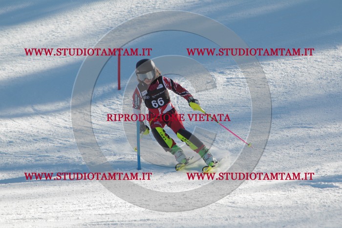 MAT_3974.JPG