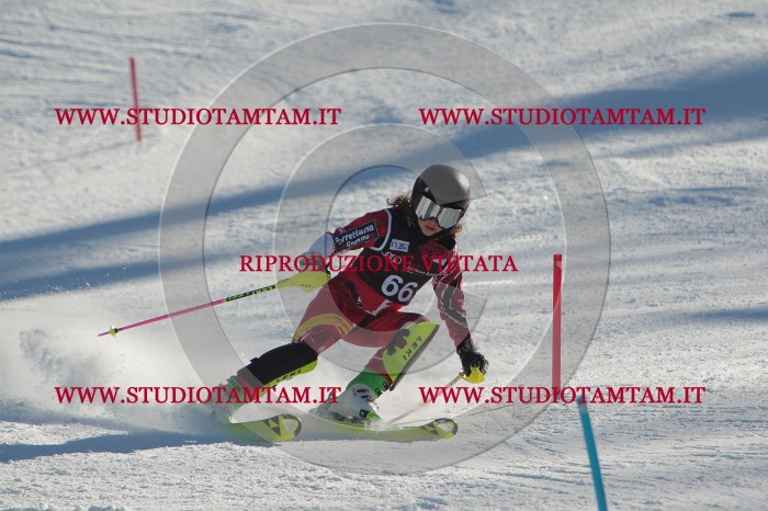 MAT_3976.JPG