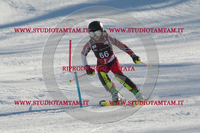 MAT_3977.JPG