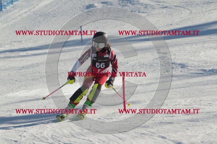 MAT_3979.JPG