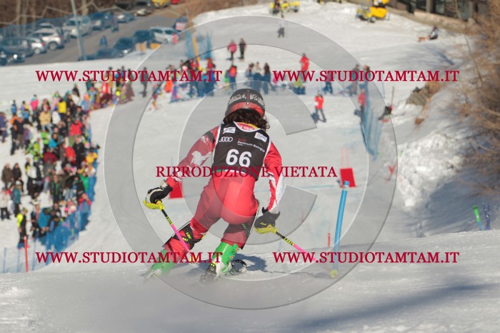 MAT_3981.JPG